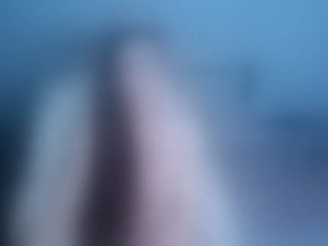 Live sex webcam photo for SexQueen11 #294001956