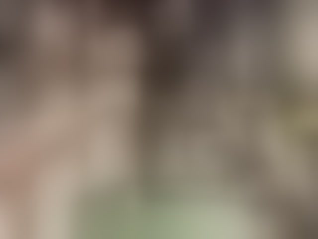 Live sex webcam photo for SexSparrow #294318369