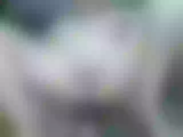 Live sex webcam photo for Sexi45 #276198677