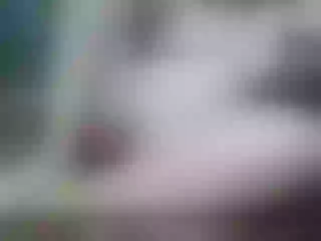 Live sex webcam photo for Sexi45 #276332908