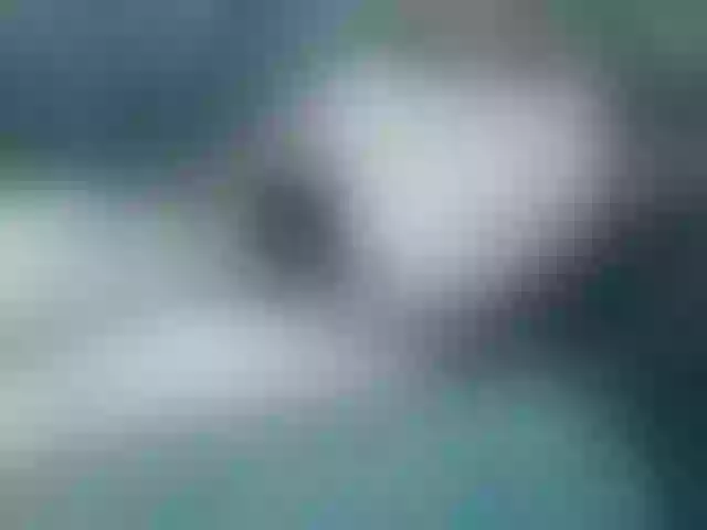 Live sex webcam photo for Sexi45 #290035508