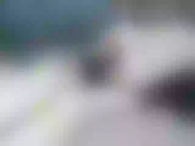 Live sex webcam photo for Sexi45 #290501173