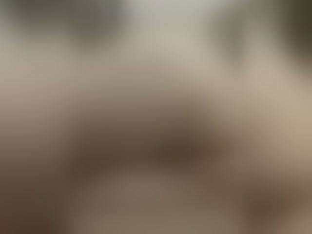 Live sex webcam photo for Sexi45 #294188563