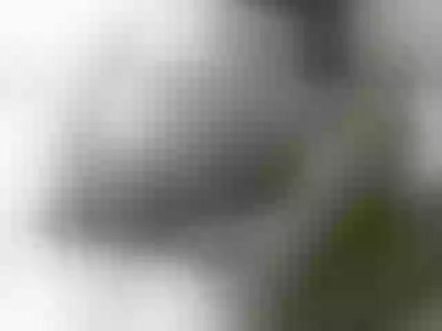 Live sex webcam photo for Sexxydivey1 #290445980