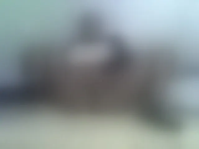 Live sex webcam photo for Sexxydivey1 #293054508