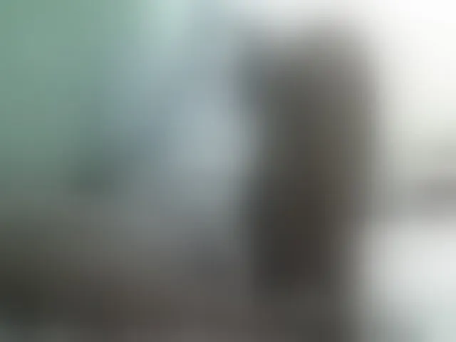Live sex webcam photo for Sexxydivey1 #293176189