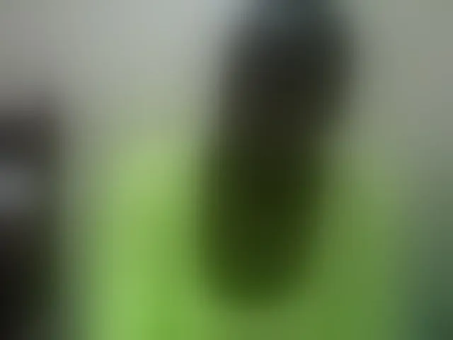 Live sex webcam photo for Sexxyladies #292565460