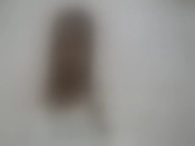 Live sex webcam photo for Sexy-Sarah #292841699