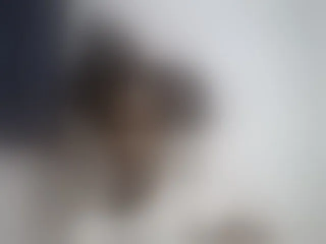 Live sex webcam photo for Sexy-Sarah #293012780