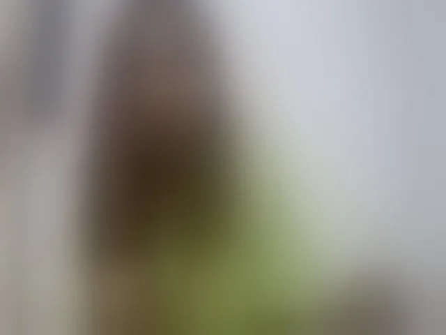 Live sex webcam photo for Sexy-Sarah #293038074