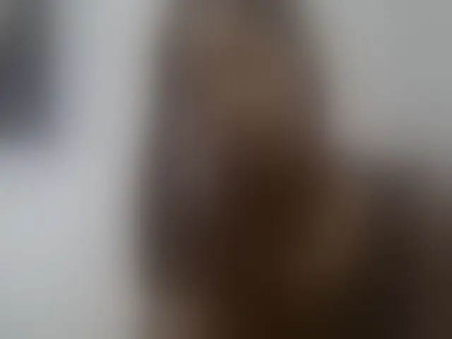 Live sex webcam photo for Sexy-Sarah #293069332