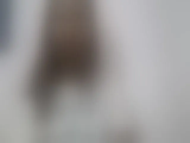 Live sex webcam photo for Sexy-Sarah #293106521
