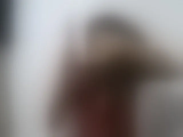 Live sex webcam photo for Sexy-Sarah #293324120