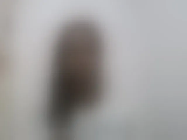 Live sex webcam photo for Sexy-Sarah #293446536