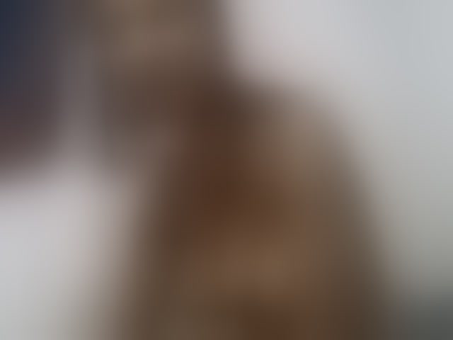 Live sex webcam photo for Sexy-Sarah #293953966