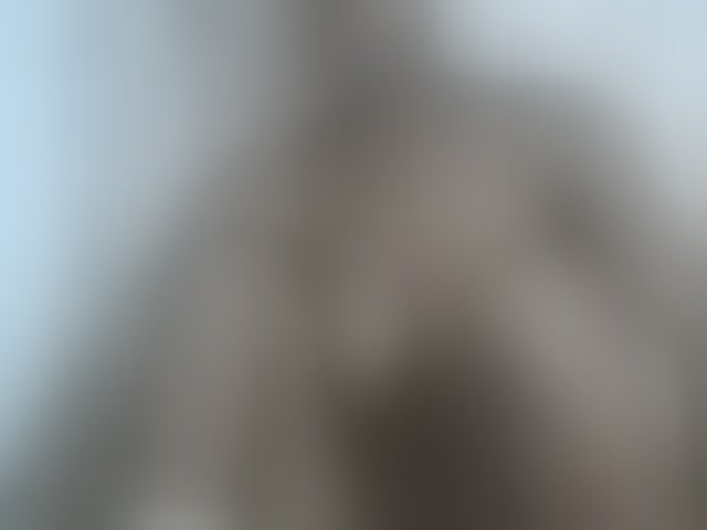 Live sex webcam photo for Sexy-Sarah #294131204