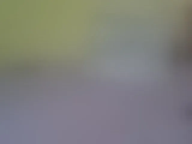 Live sex webcam photo for Sexy-fay #293870717