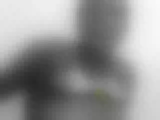 Live sex webcam photo for Sexy-melody #291997545