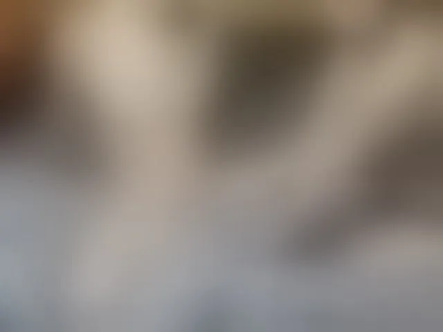 Live sex webcam photo for Sexy6969 #292722323