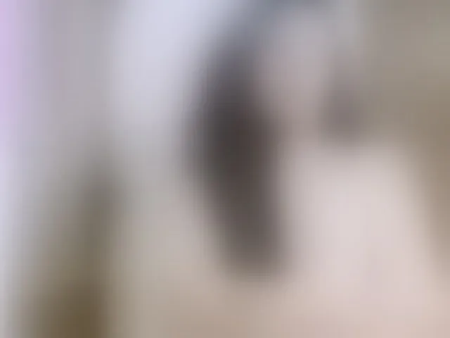 Live sex webcam photo for SexyAlina123 #293633277