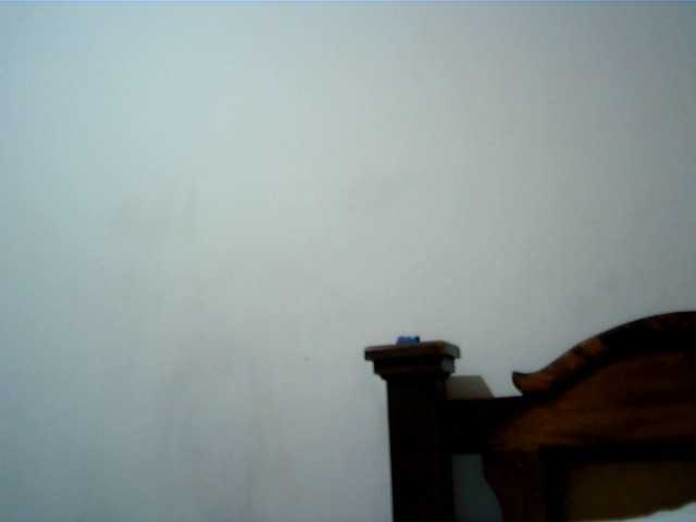 Live sex webcam photo for SexyAngelina #276420610