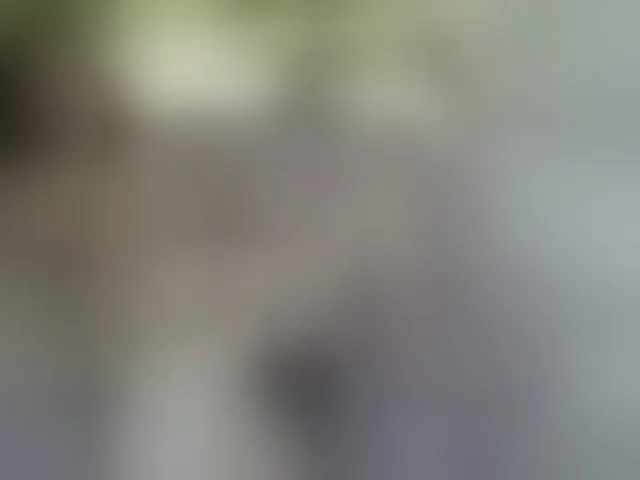 Live sex webcam photo for SexyAsianAss #293783293
