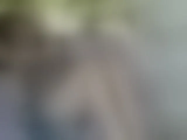 Live sex webcam photo for SexyAsianAss #293784376