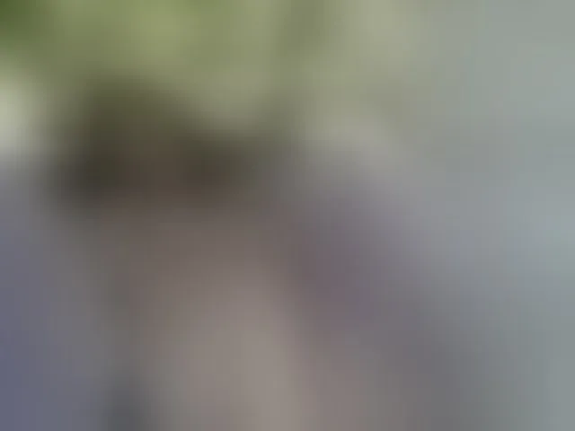Live sex webcam photo for SexyAsianAss #293785934