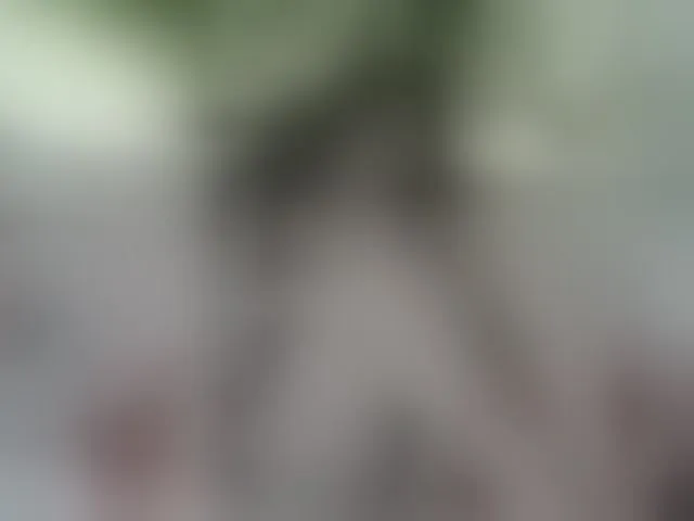Live sex webcam photo for SexyAsianAss #293835813