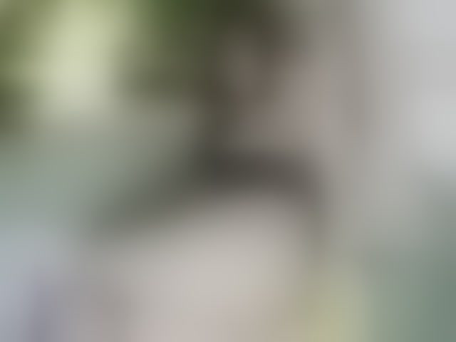 Live sex webcam photo for SexyAsianAss #294020991