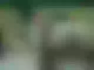 Live sex webcam photo for SexyBabeis #196464274