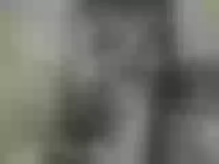 Live sex webcam photo for SexyBabeis #196834659