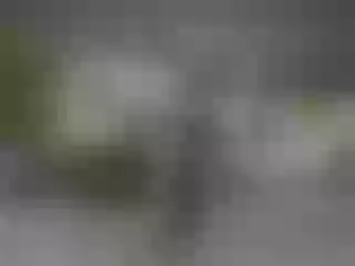 Live sex webcam photo for SexyBabeis #205904086