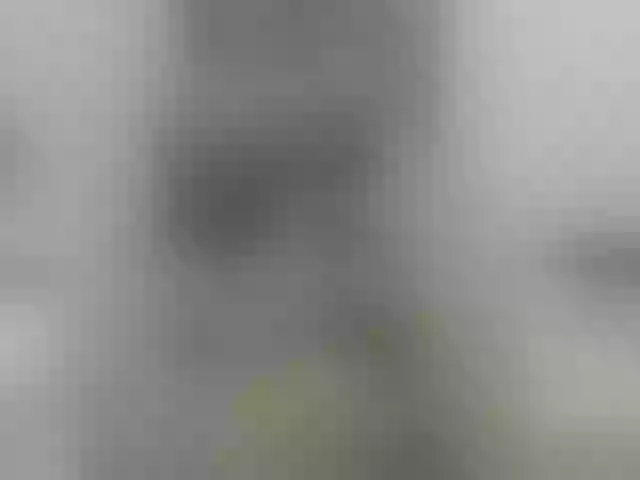 Live sex webcam photo for SexyBruna #290682206