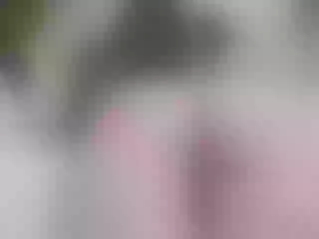 Live sex webcam photo for SexyGames #290322845