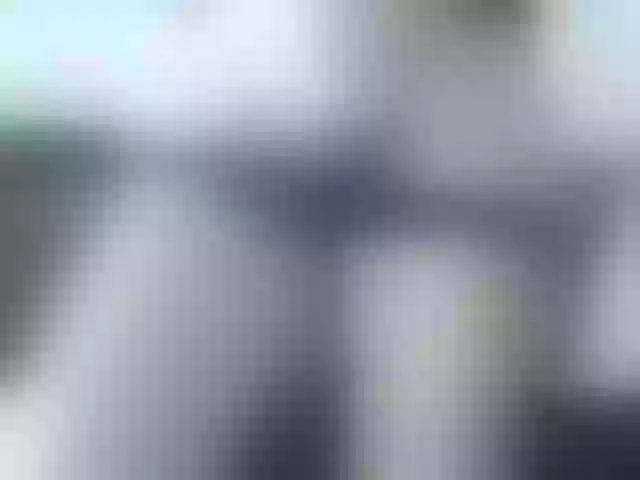 Live sex webcam photo for SexyJade #275871271