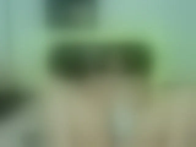 Live sex webcam photo for SexyMariamHot #293458258