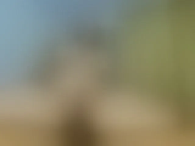Live sex webcam photo for SexyMariamHot #293927329