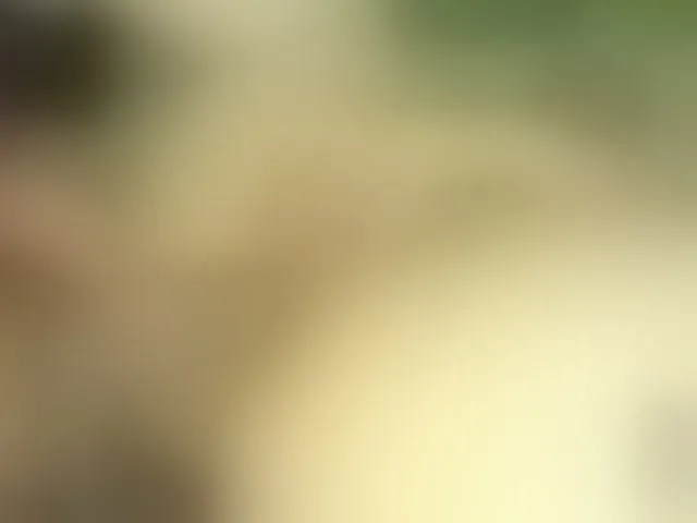 Live sex webcam photo for SexyMariamHot #293981205