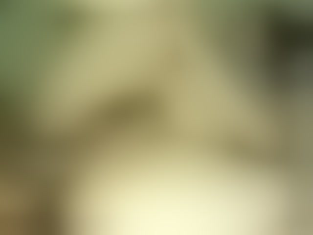 Live sex webcam photo for SexyMariamHot #294234293