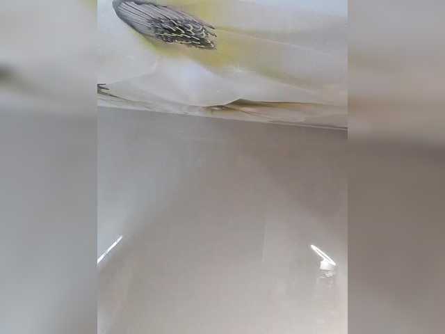 Live sex webcam photo for SexyMouse1 #290743458