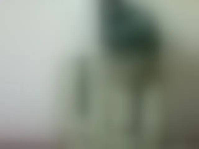 Live sex webcam photo for Sexyapple2002 #292145914