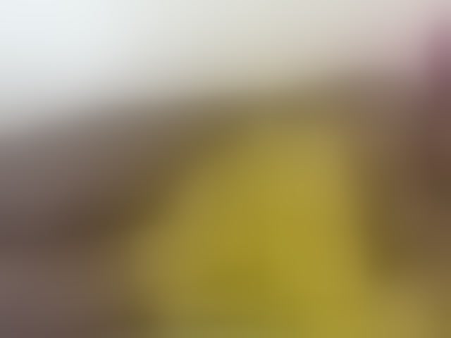 Live sex webcam photo for Sexyblackass #294241264