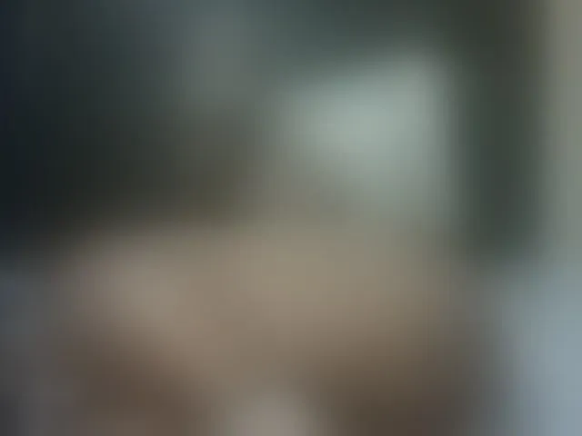 Live sex webcam photo for Sexyblacktits #292775065