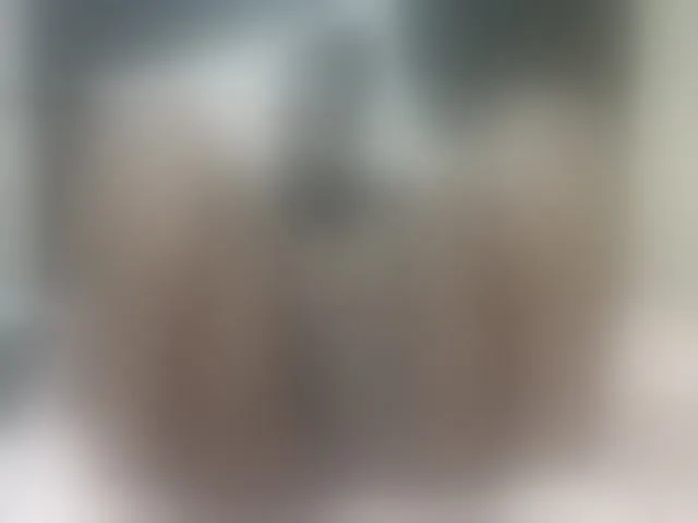 Live sex webcam photo for Sexyblacktits #293054999