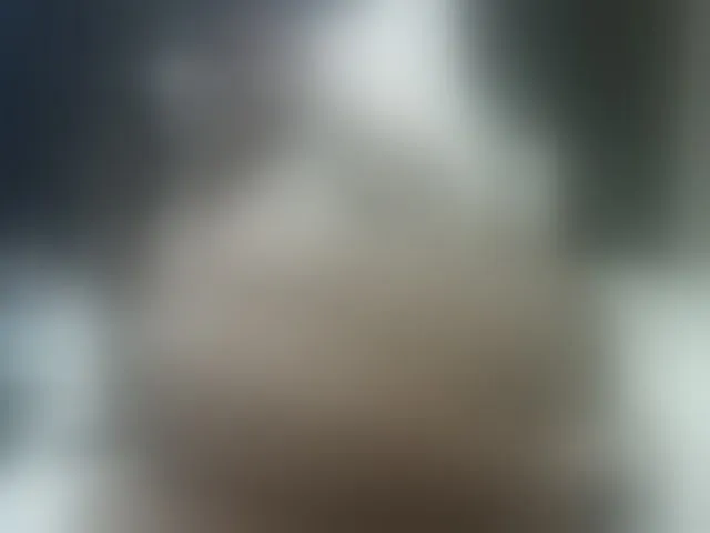 Live sex webcam photo for Sexyblacktits #293204104