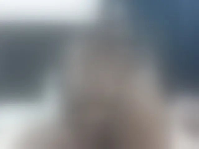 Live sex webcam photo for Sexyblacktits #293420503