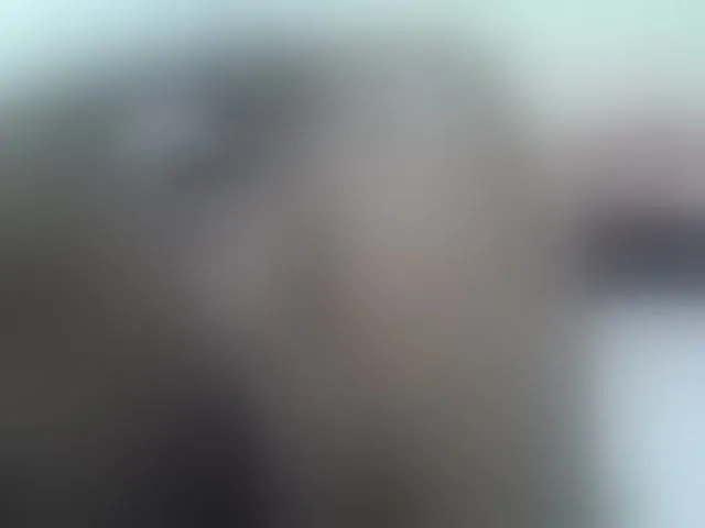 Live sex webcam photo for Sexybooty1 #291789101
