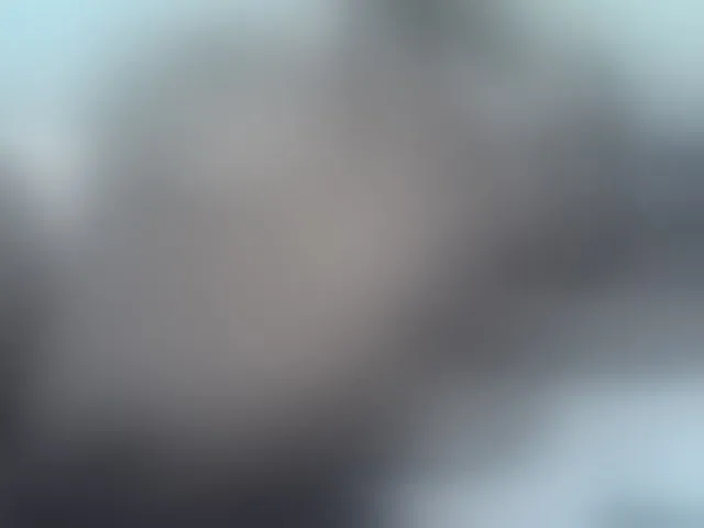 Live sex webcam photo for Sexybooty1 #292480942