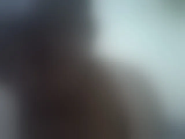 Live sex webcam photo for Sexybooty1 #292558608